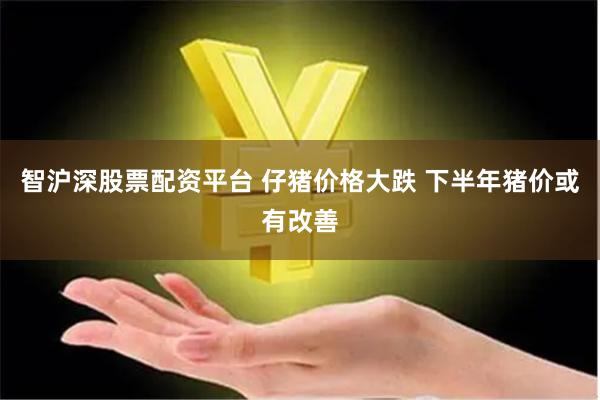智沪深股票配资平台 仔猪价格大跌 下半年猪价或有改善