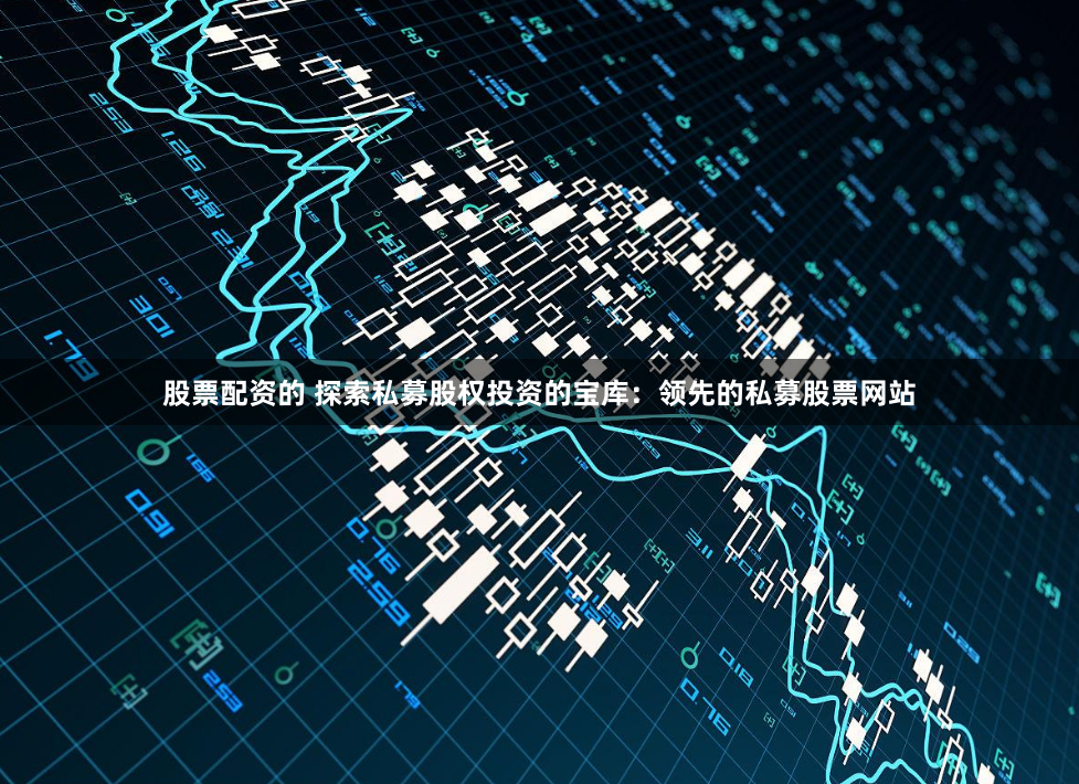 股票配资的 探索私募股权投资的宝库：领先的私募股票网站
