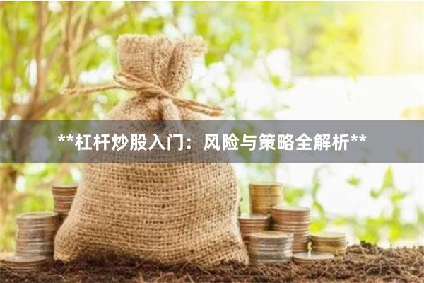 **杠杆炒股入门：风险与策略全解析**